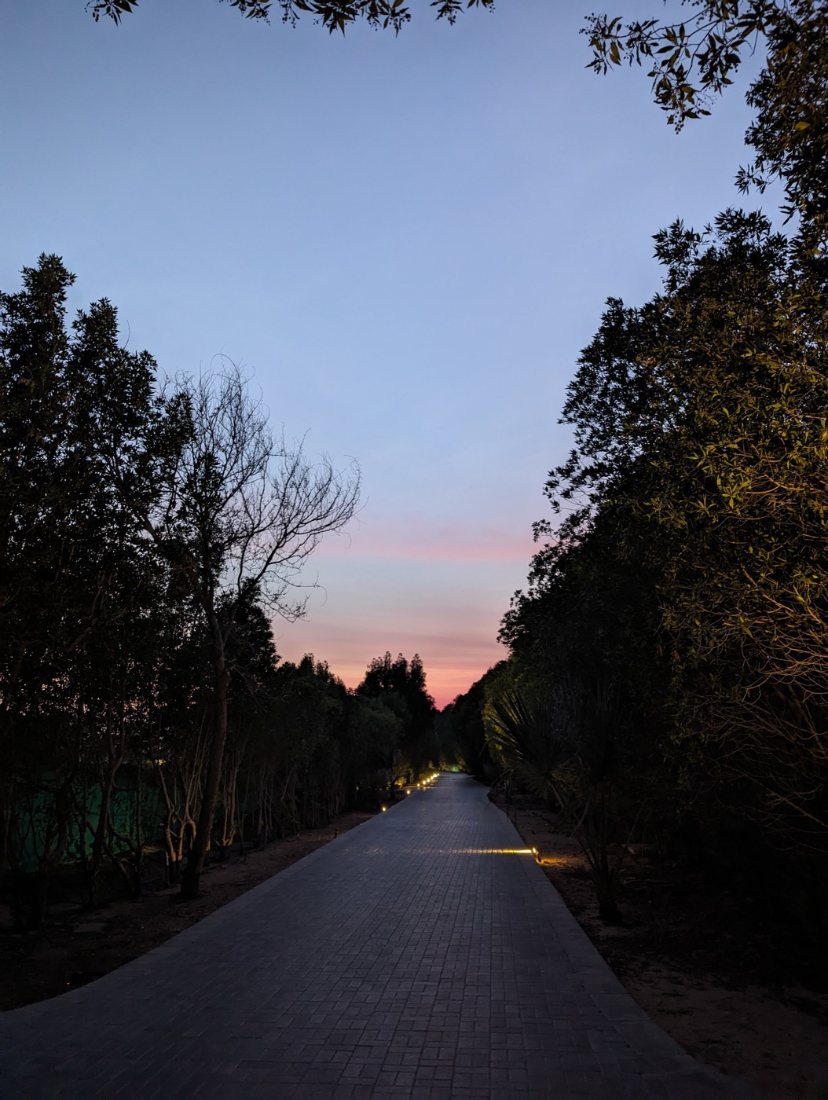 sunset, no phone